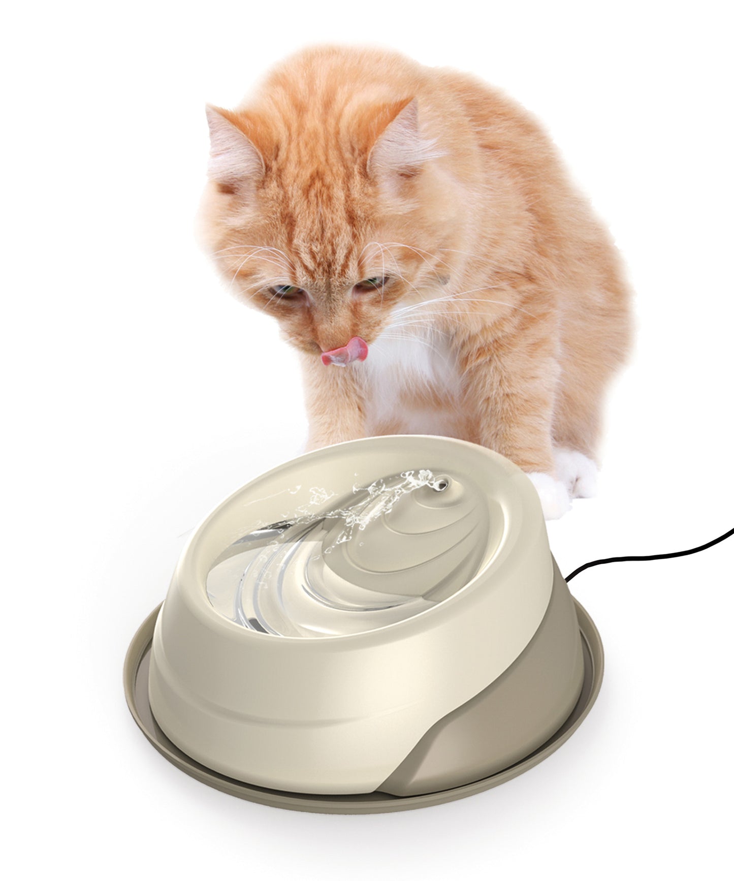 Fontanelle automatiche per cani e gatti