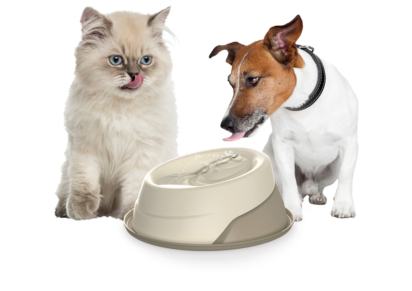 Fontanelle automatiche per cani e gatti