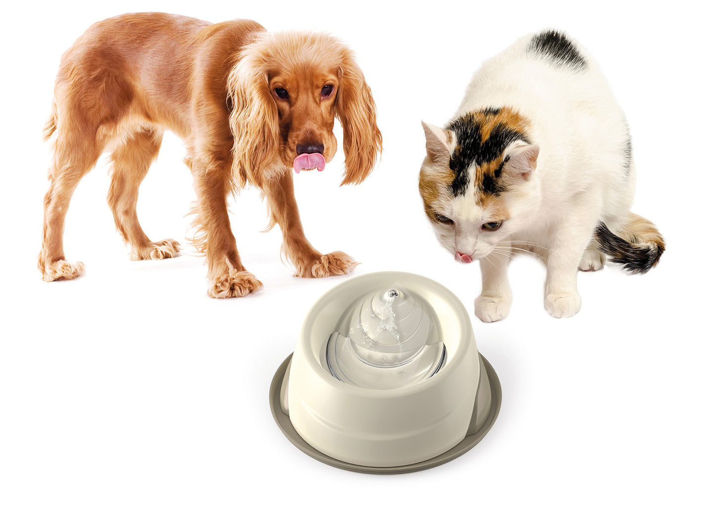 Fontanelle automatiche per cani e gatti