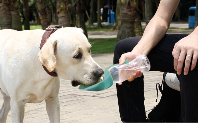 Borraccia da viaggio con riserva acqua 500 ml.