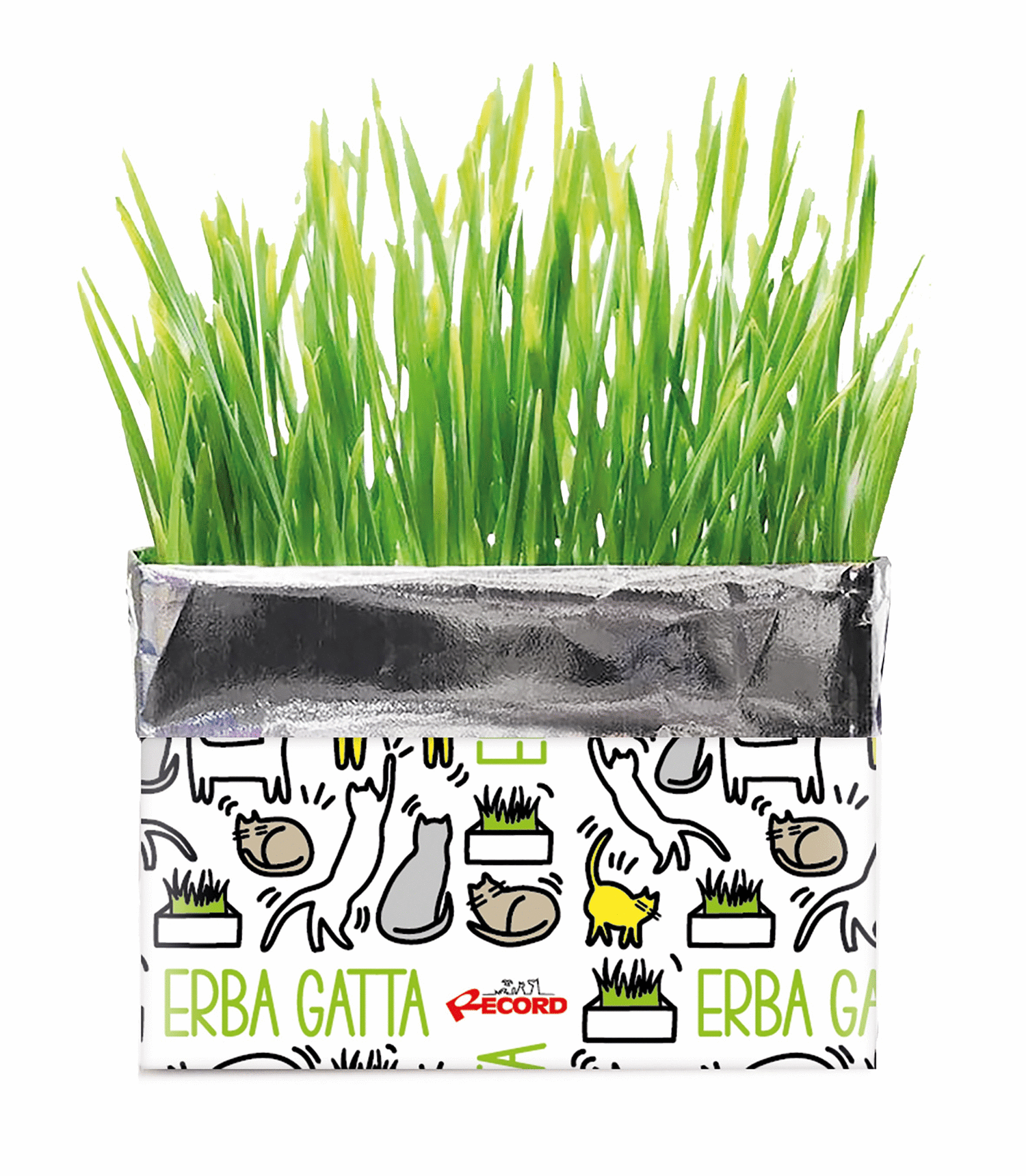 Cura del Gatto