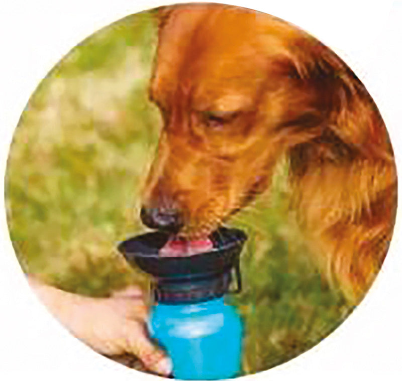Borraccia portatile 500 ml River blu con ciotola integrata