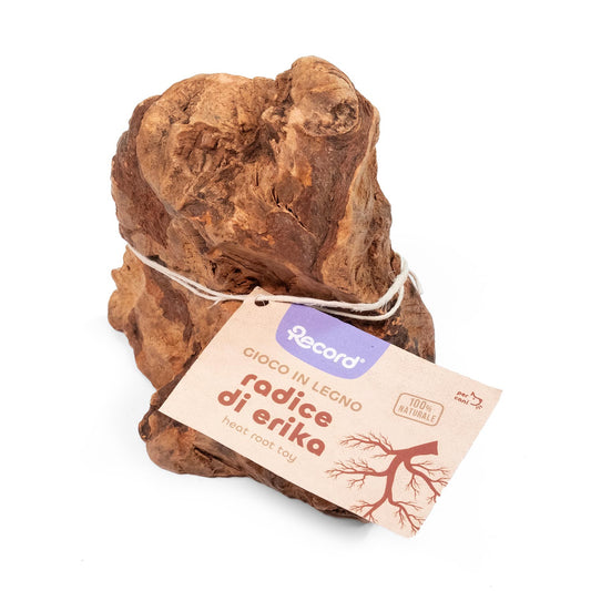 Gioco in legno radice di erika